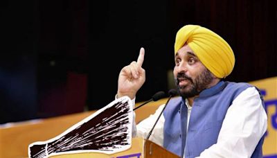 If protesting Punjab farmers not allowed to enter Delhi, should I send them to Lahore: CM Bhagwant Mann to Centre