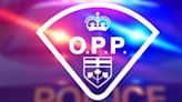 Tay Township man charged after allegedly causing collisions and being detained by drivers on Highway 400
