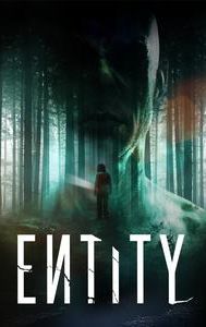 Entity