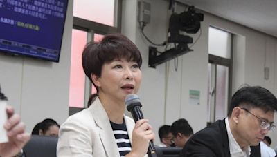 內幕》早屬意林岱樺角逐中常委 正國會詫異陳亭妃無視決議