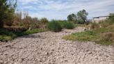 El río Albaida se seca en algunos tramos por la escasez de lluvia y el calor intenso