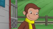 2. A Good Yarn; Snow Monkey