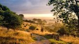 5 beautiful walks in the Chilterns that are less than 2 hours from London