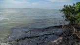 ONG venezolana pide implementar políticas para reducir contaminación en Lago de Maracaibo