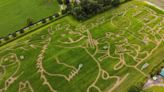 The stunning 15-acre Gruffalo maize just 90 minutes from Manchester