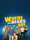 Where the Bears Are