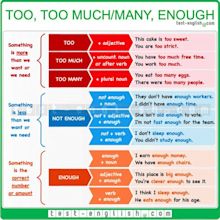 Too, too much, too many, enough - Test-English