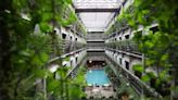 Eco Hotels expands with 'The Eco' in Vadodara