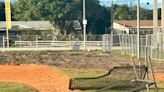 Boynton's field of nightmares: Why a once-promising Little League park makeover struck out