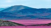 Y Atacama despertó