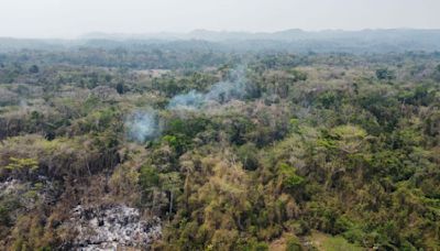 Veracruz registra 15 incendios forestales y 5 de pastizales