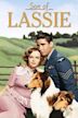 El cachorro de Lassie