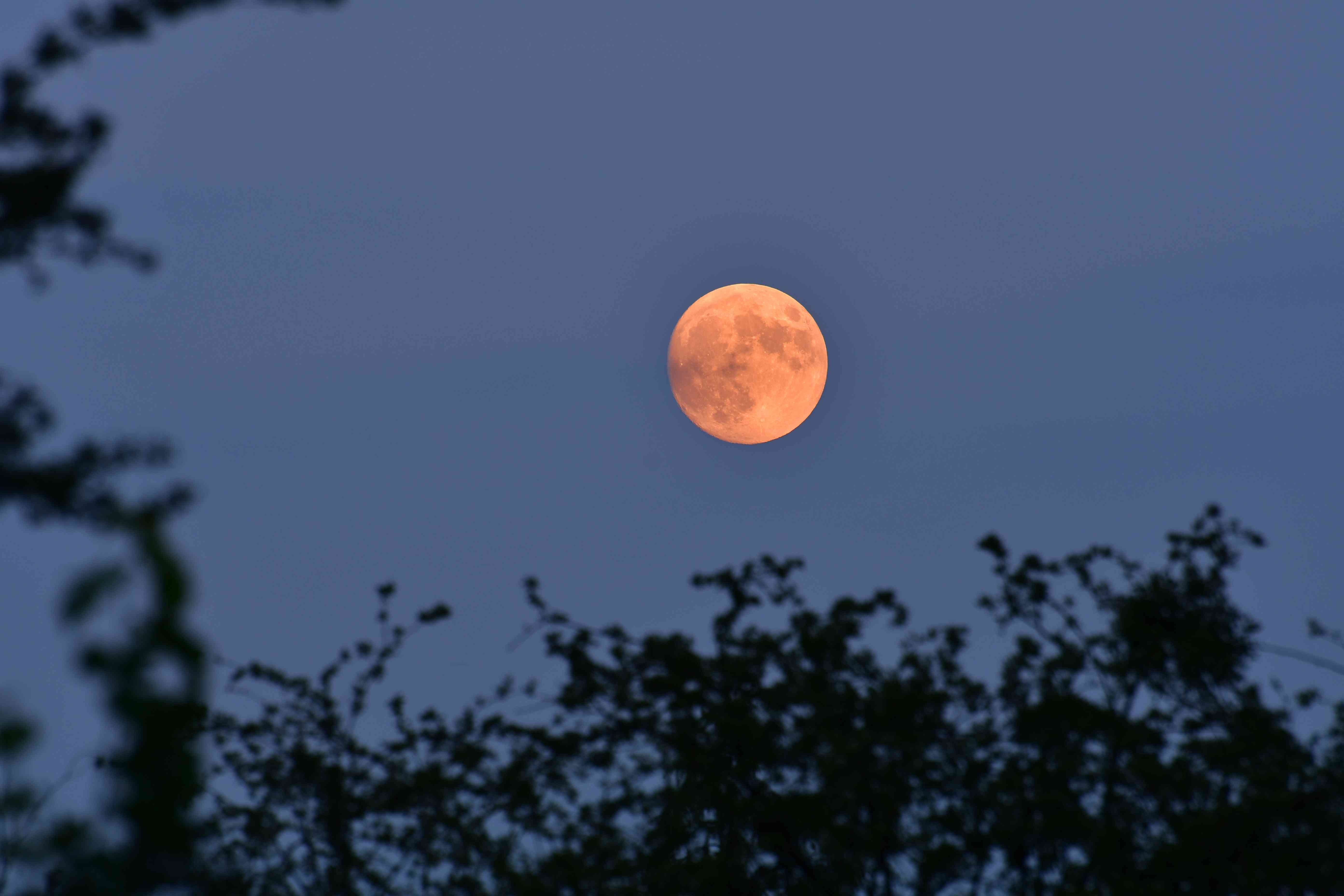 Here’s What To Know About Tonight’s ‘Strawberry Moon’