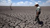 UN warns Earth's temperature likely to soar to record levels due to global warming and El Niño: 'Uncharted territory'