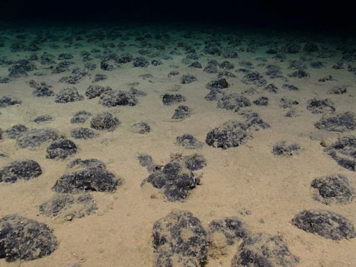 Descubren “oxígeno oscuro” generado en las profundidades marinas