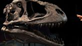 Scientists Discover Dinosaur Species With Short Arms