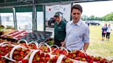 Erstaunliches über Erdbeeren: Superfrucht und Tennis-Accessoire