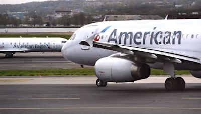 American Airlines Flight Diverted After Hitting Bird