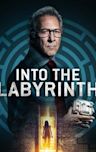 Into the Labyrinth (film)