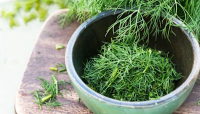 This Is The Best Way To Store Fresh Dill