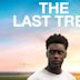 The Last Tree (film)