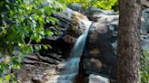 Tiny creature that likes to snooze by waterfalls in Costa Rica is new species. See it