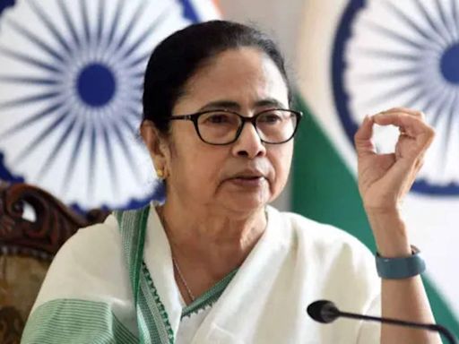 CM Mamata Banerjee's Right to Freedom of Speech Under Article 19 Controversy | Kolkata News - Times of India