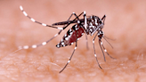 Monsoon Dengue Surge: Neurological Implications Highlighted