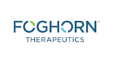 Foghorn Therapeutics Shifts Focus from Development Of Cancer Hopeful with Eye Cancer