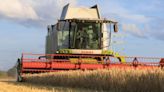 New winter barley choices join varieties with good resistance - Farmers Weekly