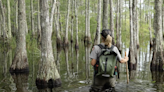 This swamp helps provide drinking water for Floridians. What does Big Cypress look like?