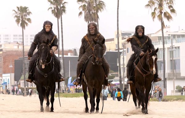 Apes on Horseback Surprise People on Venice Beach as Planet of the Apes Gears Up for Release