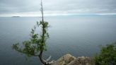 Encuentran a jet desaparecido desde 1971 sumergido en el lago Champlain de Vermont