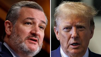 Ted Cruz's defense of Donald Trump raises eyebrows