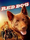 Red Dog