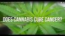 Does Cannabis Cure Cancer? | Fremont College - YouTube