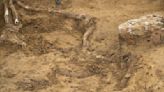 Bones unearthed at Waterloo two centuries after iconic battle