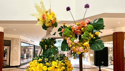 'Fleurs de Villes ARTISTE' blooms at South Coast Plaza