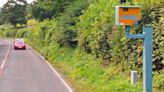 Motorists risk speeding fines ‘because overgrown hedgerows are blocking signs’