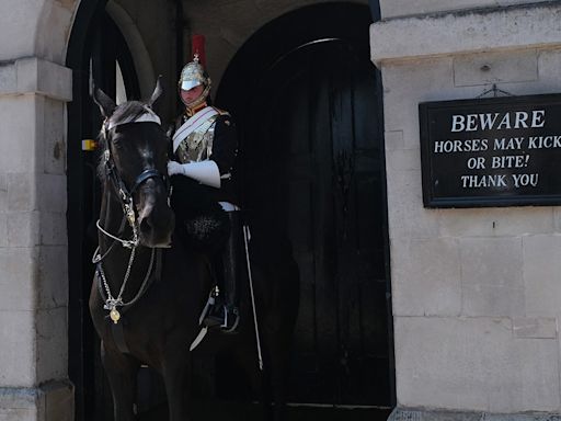 King Charles’ guard horse bites tourist posing for photo: ‘Thought she was going to pass out’