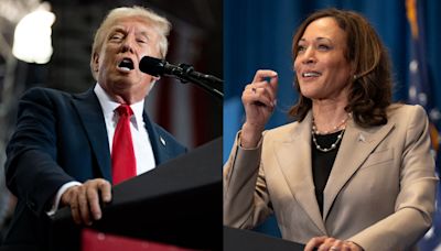 Trump vs. Harris: what each presidency would mean for the green transition