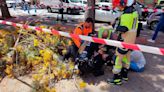 Cae una rama de árbol sobre una mujer y tiene que ser evacuada al hospital de Málaga por una herida en la cabeza