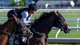 Dornoch Ready to Bounce Back in Belmont Stakes