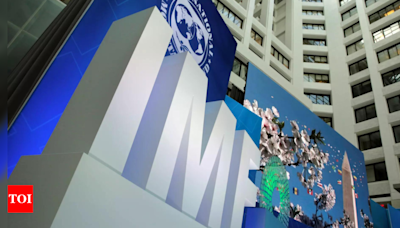 India may gain from trade actions against China: IMF | Delhi News - Times of India