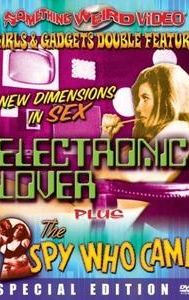 Electronic Lover