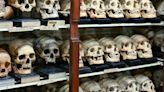 Skulls taken as trophies returned from Scotland to their ancestral home