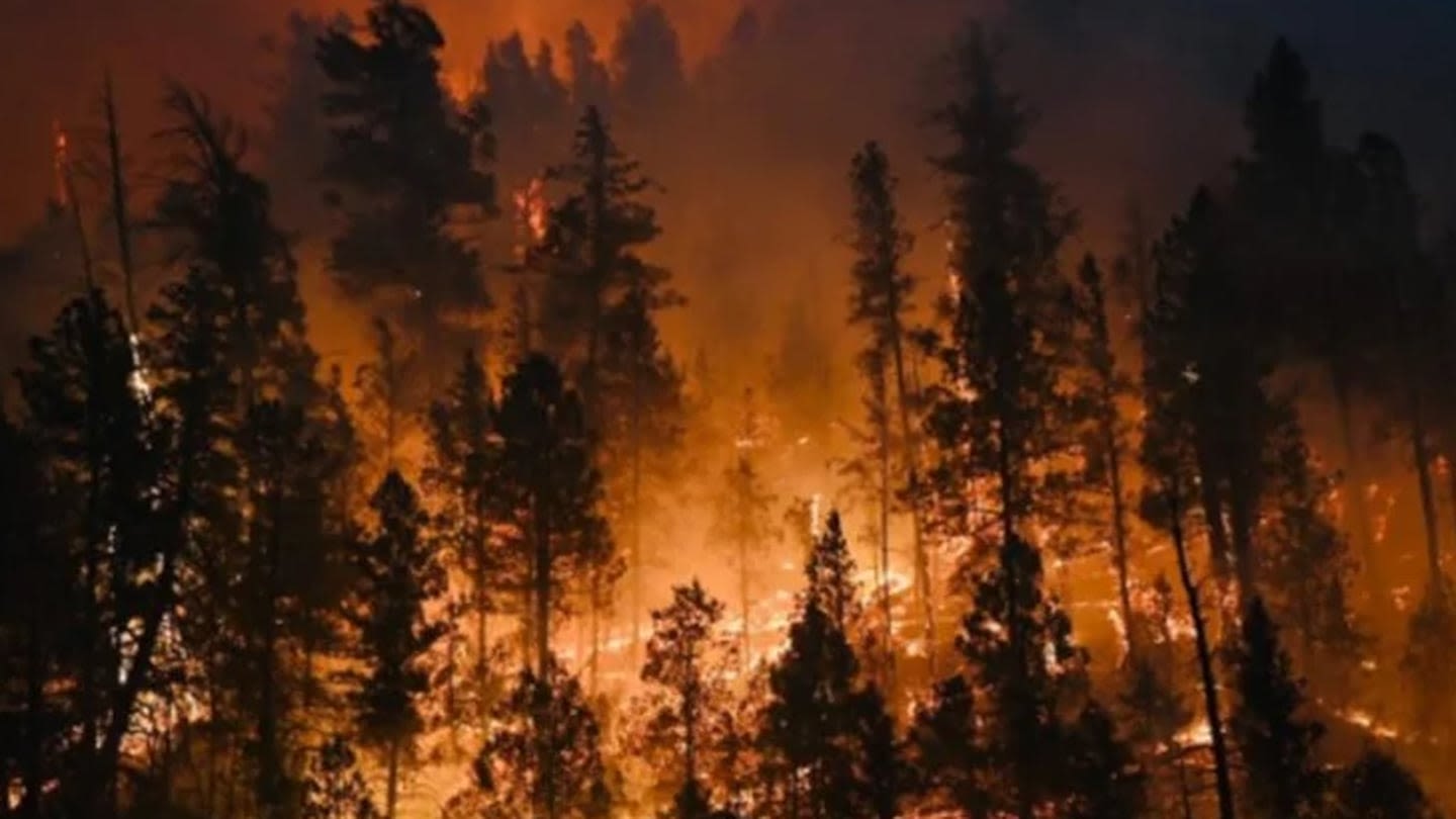 Reward offered by FBI for information about deadly wildfires in New Mexico