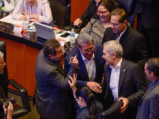 ‘Se llevan y no se aguantan’: Mancera y Cravioto a punto de los golpes en el Senado (VIDEO)