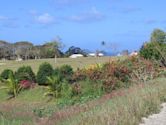 Saint Peter, Barbados