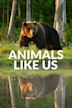 Animals Like Us